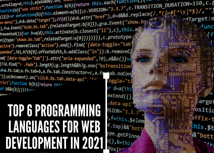 Top 6 Programming languages for Web development